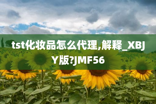 tst化妆品怎么代理,解释_XBJY版?JMF56