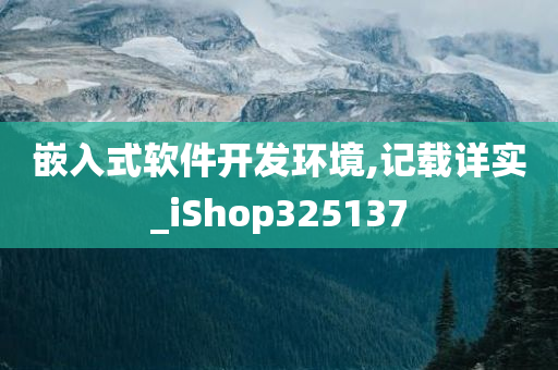 嵌入式软件开发环境,记载详实_iShop325137