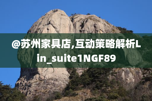 @苏州家具店,互动策略解析Lin_suite1NGF89