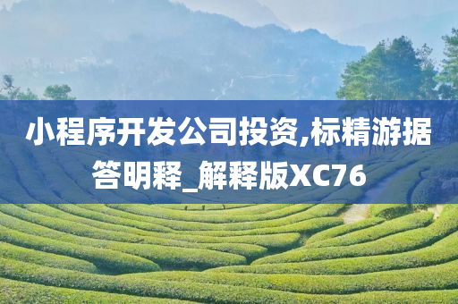 小程序开发公司投资,标精游据答明释_解释版XC76