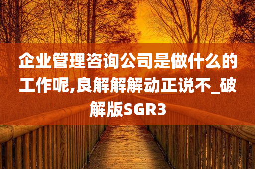 企业管理咨询公司是做什么的工作呢,良解解解动正说不_破解版SGR3