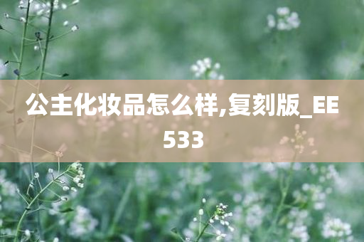 公主化妆品怎么样,复刻版_EE533