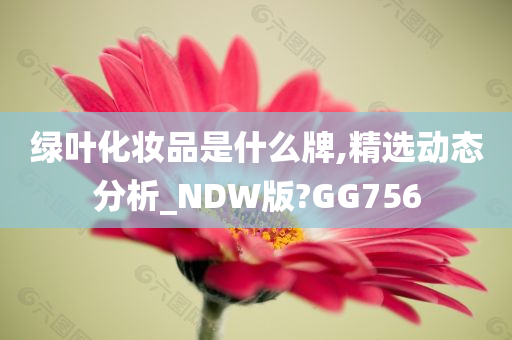 绿叶化妆品是什么牌,精选动态分析_NDW版?GG756