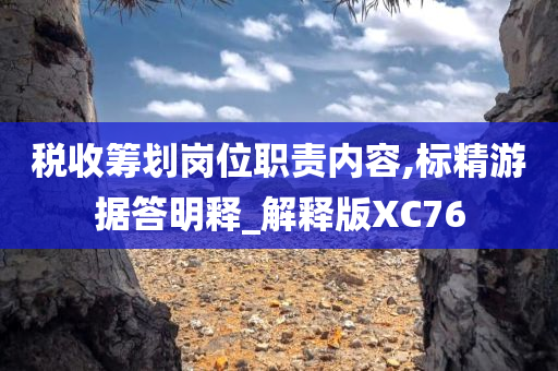 税收筹划岗位职责内容,标精游据答明释_解释版XC76