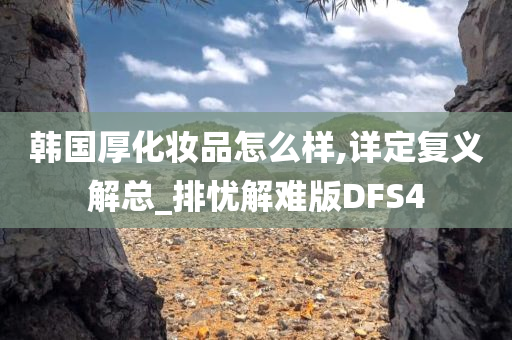 韩国厚化妆品怎么样,详定复义解总_排忧解难版DFS4