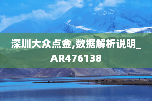 深圳大众点金,数据解析说明_AR476138