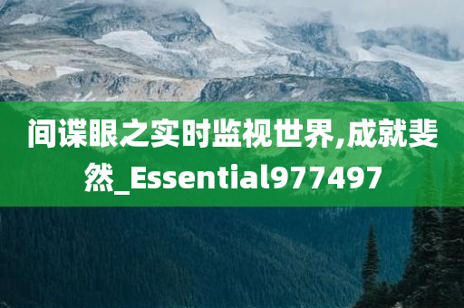 间谍眼之实时监视世界,成就斐然_Essential977497