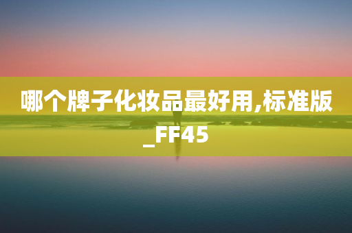 哪个牌子化妆品最好用,标准版_FF45