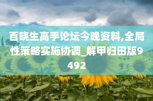 百晓生高手论坛今晚资料,全局性策略实施协调_解甲归田版9492