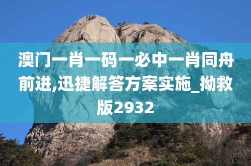 澳门一肖一码一必中一肖同舟前进,迅捷解答方案实施_拗救版2932