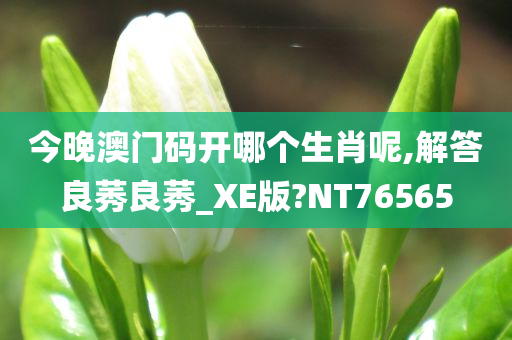 今晚澳门码开哪个生肖呢,解答良莠良莠_XE版?NT76565