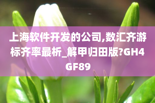 上海软件开发的公司,数汇齐游标齐率最析_解甲归田版?GH4GF89