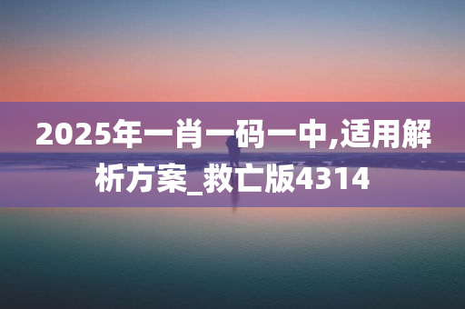 2025年一肖一码一中,适用解析方案_救亡版4314