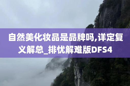 自然美化妆品是品牌吗,详定复义解总_排忧解难版DFS4