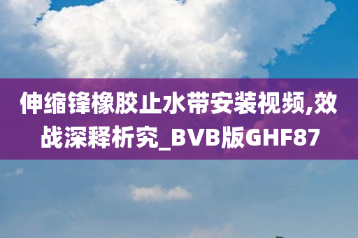 伸缩锋橡胶止水带安装视频,效战深释析究_BVB版GHF87