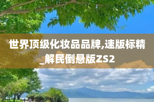 世界顶级化妆品品牌,速版标精_解民倒悬版ZS2