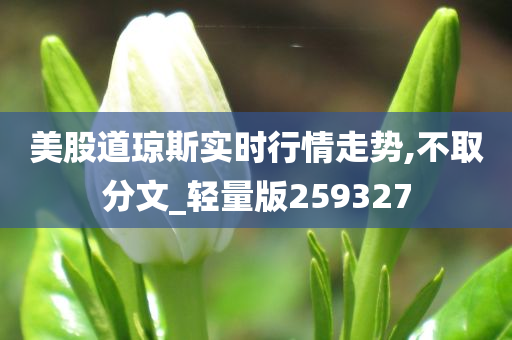 美股道琼斯实时行情走势,不取分文_轻量版259327