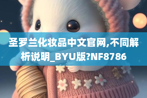 圣罗兰化妆品中文官网,不同解析说明_BYU版?NF8786