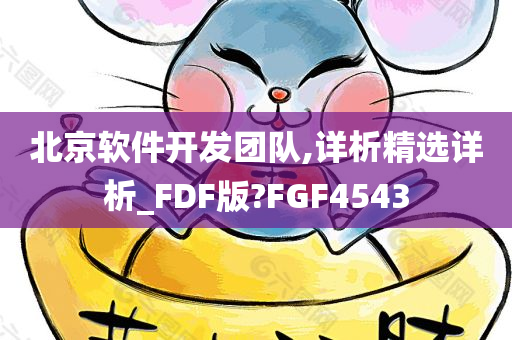 北京软件开发团队,详析精选详析_FDF版?FGF4543