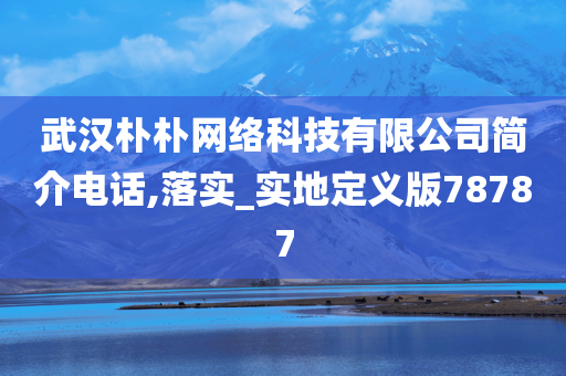 武汉朴朴网络科技有限公司简介电话,落实_实地定义版78787