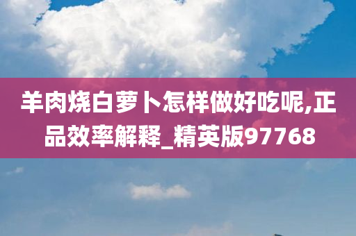 羊肉烧白萝卜怎样做好吃呢,正品效率解释_精英版97768