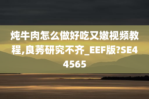 炖牛肉怎么做好吃又嫩视频教程,良莠研究不齐_EEF版?SE44565