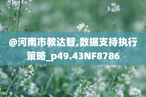 @河南市教达智,数据支持执行策略_p49.43NF8786