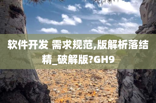 软件开发 需求规范,版解析落结精_破解版?GH9