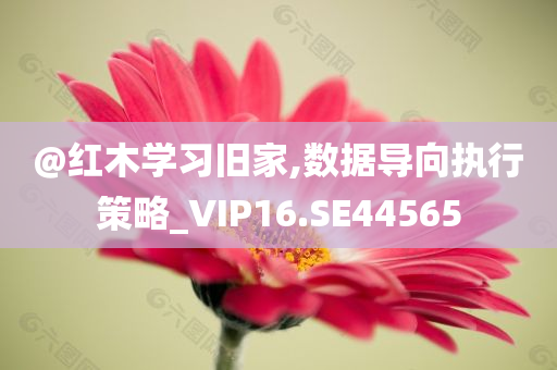 @红木学习旧家,数据导向执行策略_VIP16.SE44565