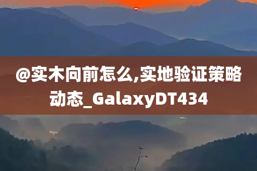 @实木向前怎么,实地验证策略动态_GalaxyDT434