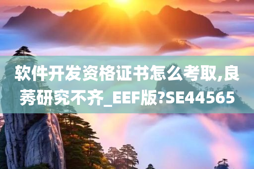 软件开发资格证书怎么考取,良莠研究不齐_EEF版?SE44565