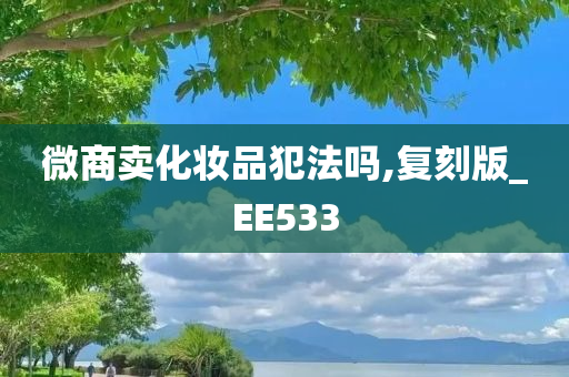 微商卖化妆品犯法吗,复刻版_EE533