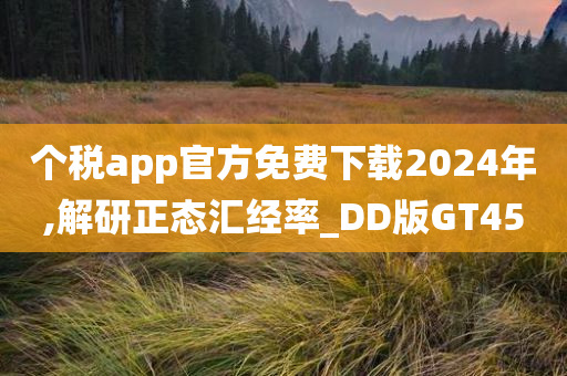 个税app官方免费下载2024年,解研正态汇经率_DD版GT45