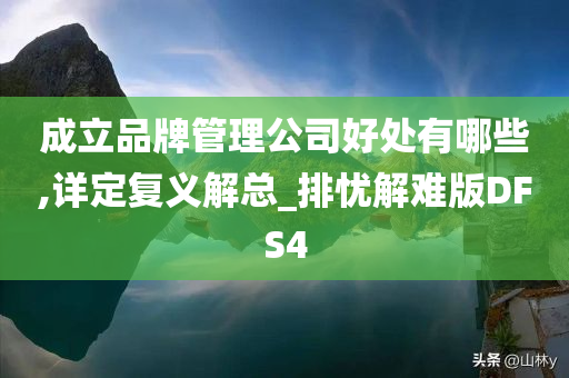 成立品牌管理公司好处有哪些,详定复义解总_排忧解难版DFS4