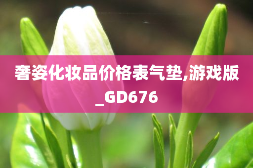 奢姿化妆品价格表气垫,游戏版_GD676