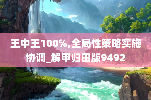 王中王100℅,全局性策略实施协调_解甲归田版9492