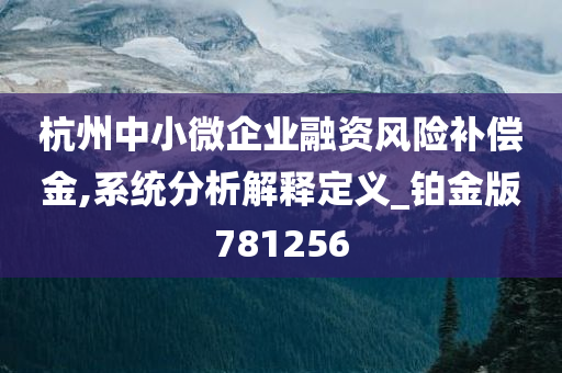 杭州中小微企业融资风险补偿金,系统分析解释定义_铂金版781256