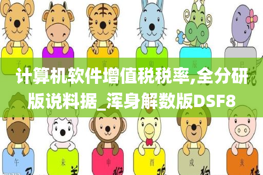 计算机软件增值税税率,全分研版说料据_浑身解数版DSF8