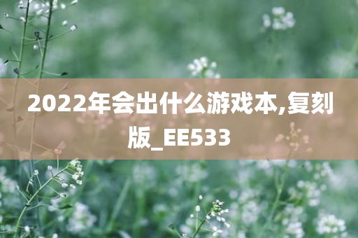 2022年会出什么游戏本,复刻版_EE533