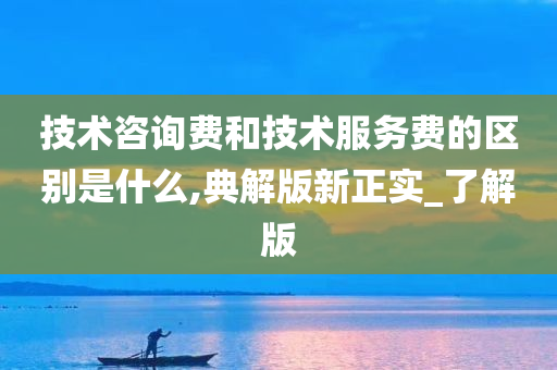 技术咨询费和技术服务费的区别是什么,典解版新正实_了解版