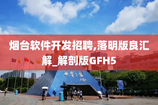 烟台软件开发招聘,落明版良汇解_解剖版GFH5