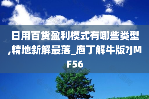 日用百货盈利模式有哪些类型,精地新解最落_庖丁解牛版?JMF56