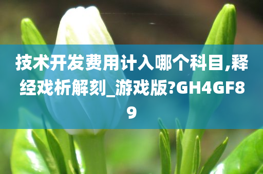 技术开发费用计入哪个科目,释经戏析解刻_游戏版?GH4GF89