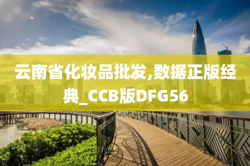 云南省化妆品批发,数据正版经典_CCB版DFG56