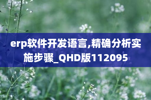 erp软件开发语言,精确分析实施步骤_QHD版112095