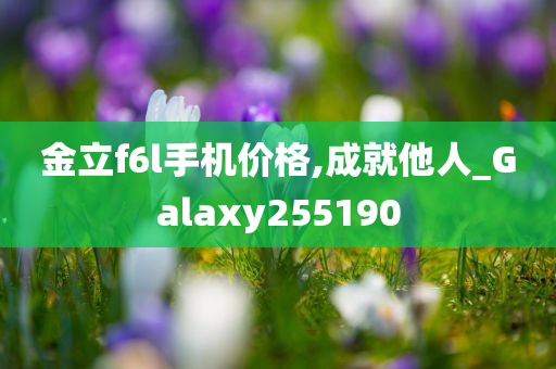 金立f6l手机价格,成就他人_Galaxy255190