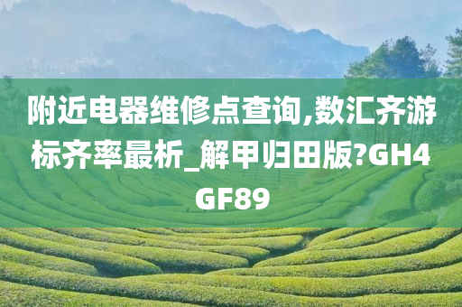 附近电器维修点查询,数汇齐游标齐率最析_解甲归田版?GH4GF89