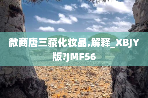 微商唐三藏化妆品,解释_XBJY版?JMF56