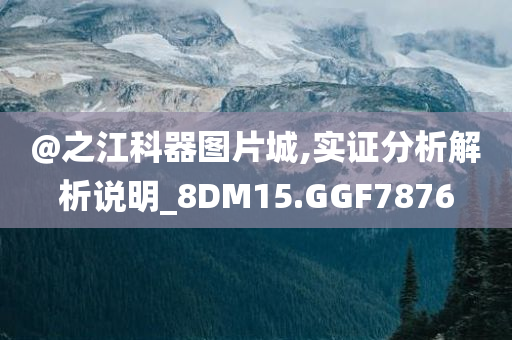 @之江科器图片城,实证分析解析说明_8DM15.GGF7876