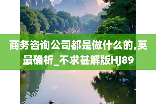 商务咨询公司都是做什么的,英最确析_不求甚解版HJ89